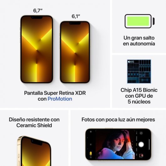 iPhone 13 Pro Max - REWARE